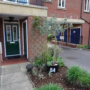 Gras Lawn Exeter